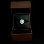 Amira Gümüş üzük brend