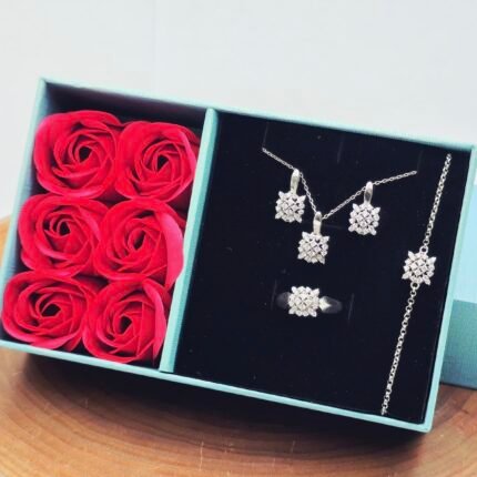 Diandra Gümüş dəst